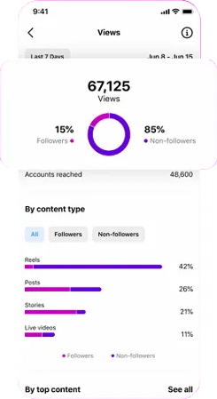 Screenshot of an Instagram metrics page with the views section highlighted.