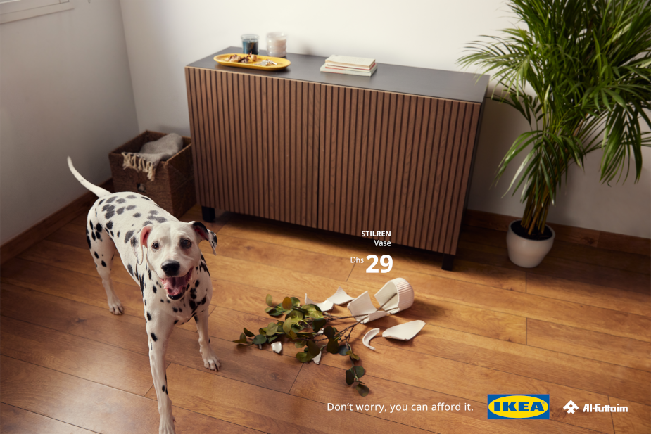 A Dalmatian looks too happy with itself after knocking over and breaking a vase. The IKEA campaign assures us though that it is very affordable and can be replaced.